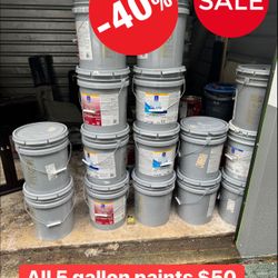 5 Gallon Paint $50