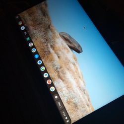 Chromebook Asus Laptop With A Mouse