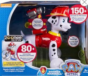 Paw patrol