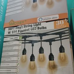 Led Outdoor string lights