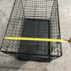Dog Kennel