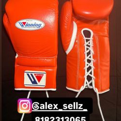 Boxing Gloves $100