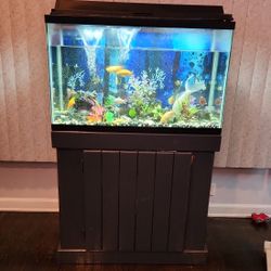 Fish Tank