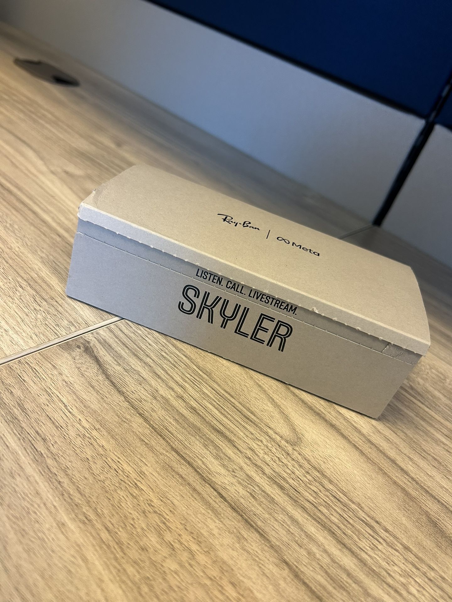 Meta Glasses - Skyler