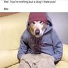 Legit User