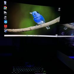 Monitor