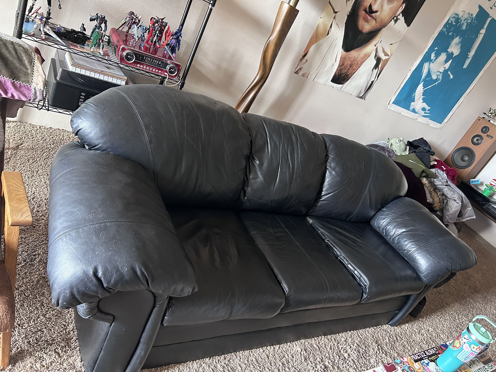 Black Leather Couch