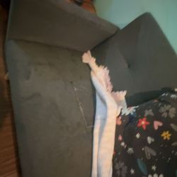 Free Grey Sofa 