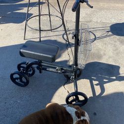 Bicicleta Para El Pie 