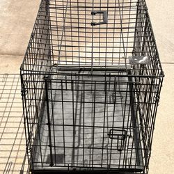 Wire Medium Dog Cage w/Tray - (LxWxH: 30” x 18” x 21”)