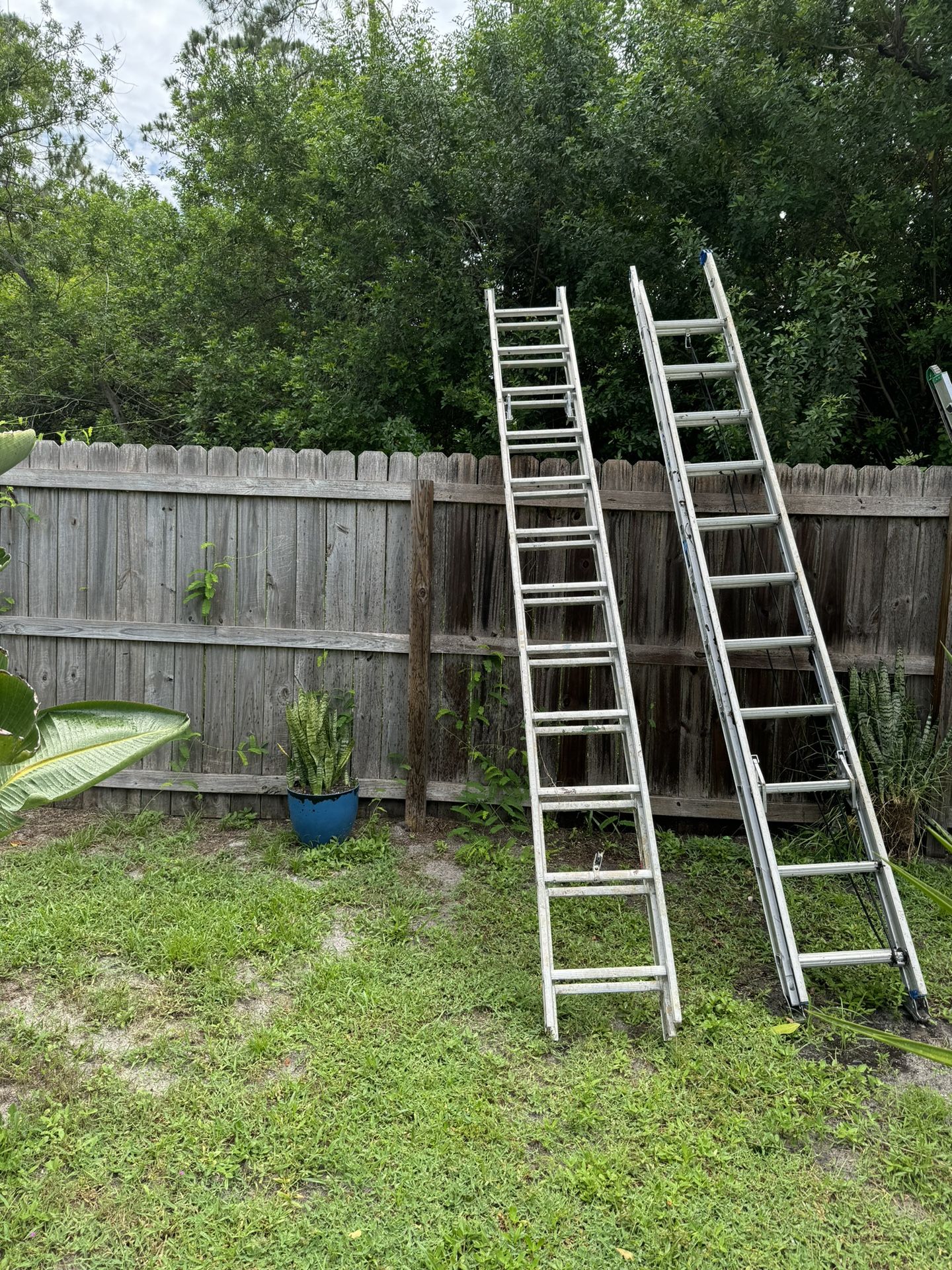 24’ Extendable Ladders