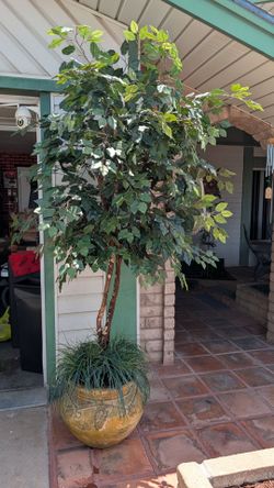 7ft. Artificial 🌴 cheaper if you don't want to buy with heavy pot. It can come with a wicker style original base