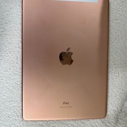 7 Gen iPad