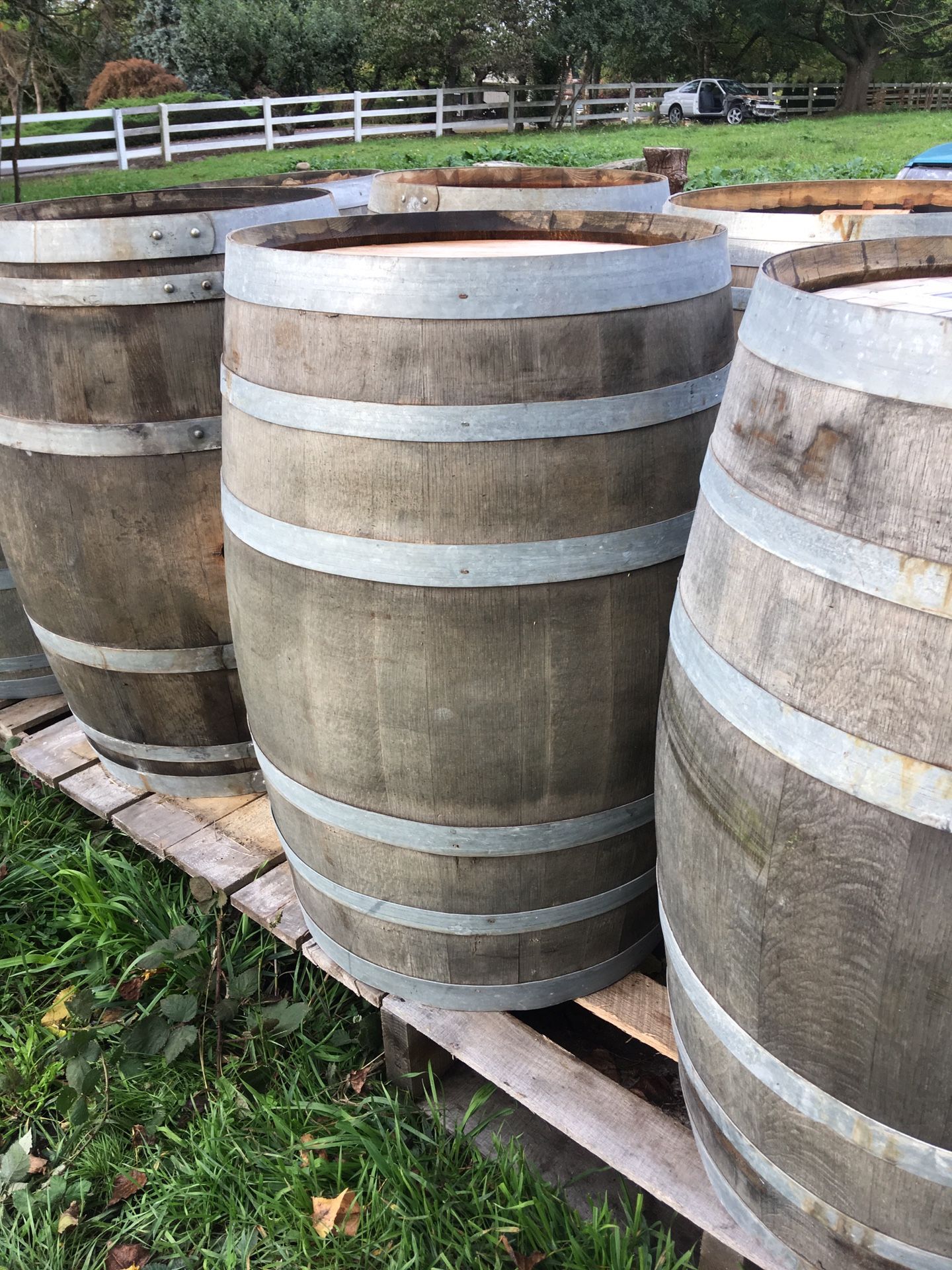 Wine barrels