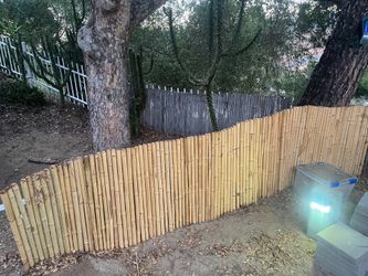 New and older Bamboo Fence - about 100 feet x ~3feet high