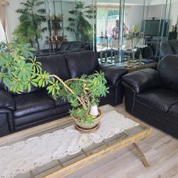 Sofas And Tables For Sale