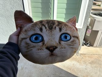 Cat Pillow 
