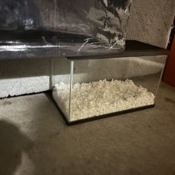 Glass Tank