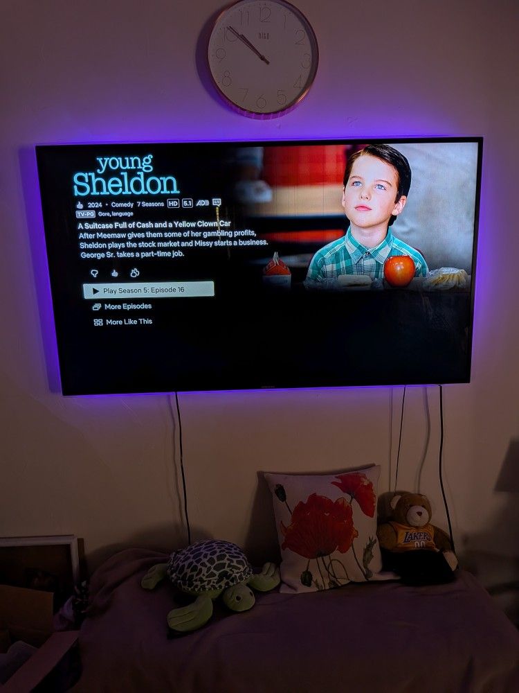 55,In Flat Screen TV