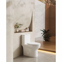 1.1/1.6 GPF Antimicrobial, Leak Resistant, One-Piece Toilet T038-WT