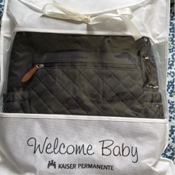Diaper Bag with changing pad