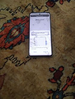 Samsung Fe