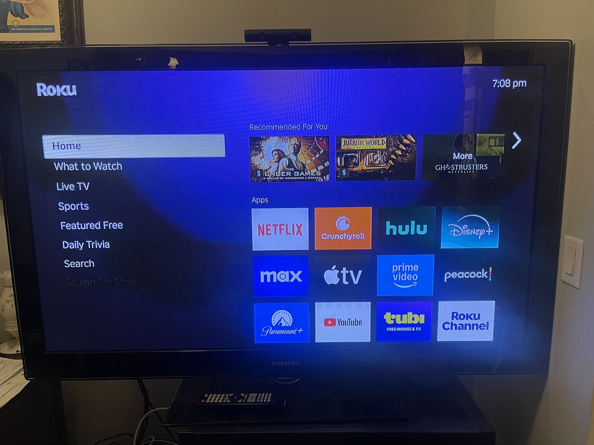 58" Samsung Plasma TV