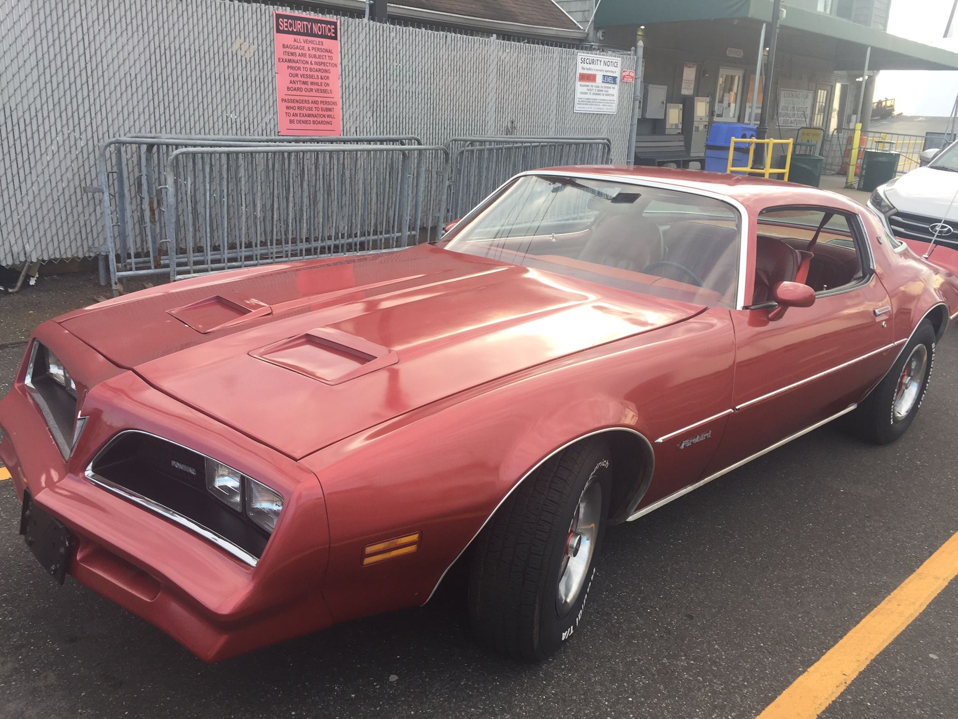 1977 Pontiac Firebird