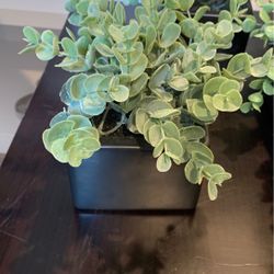 4 faux plants and flowers in pots