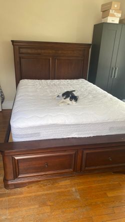 Bed