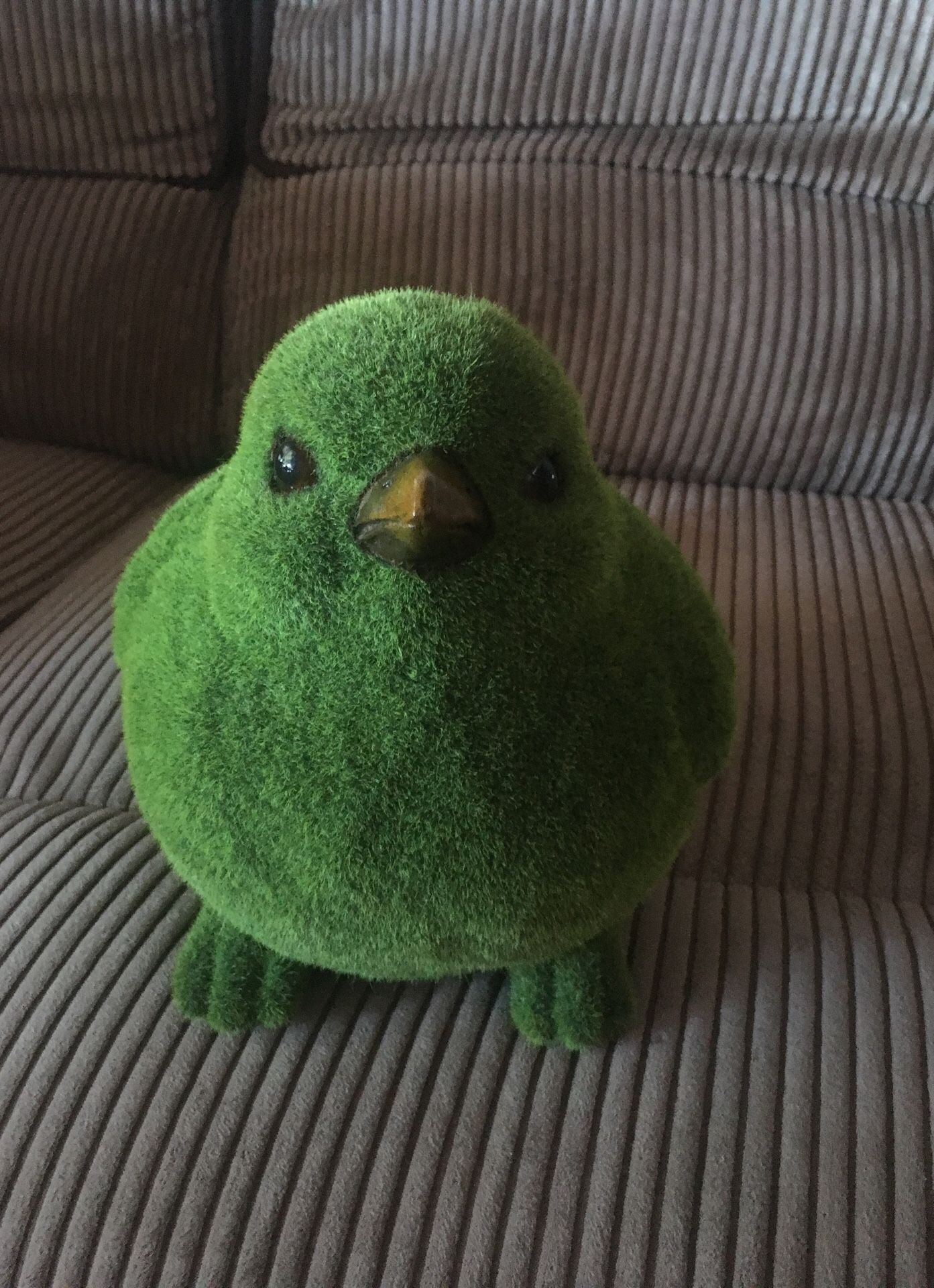 Moss Coated Bird Exhart