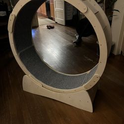 Free Cat Wheel