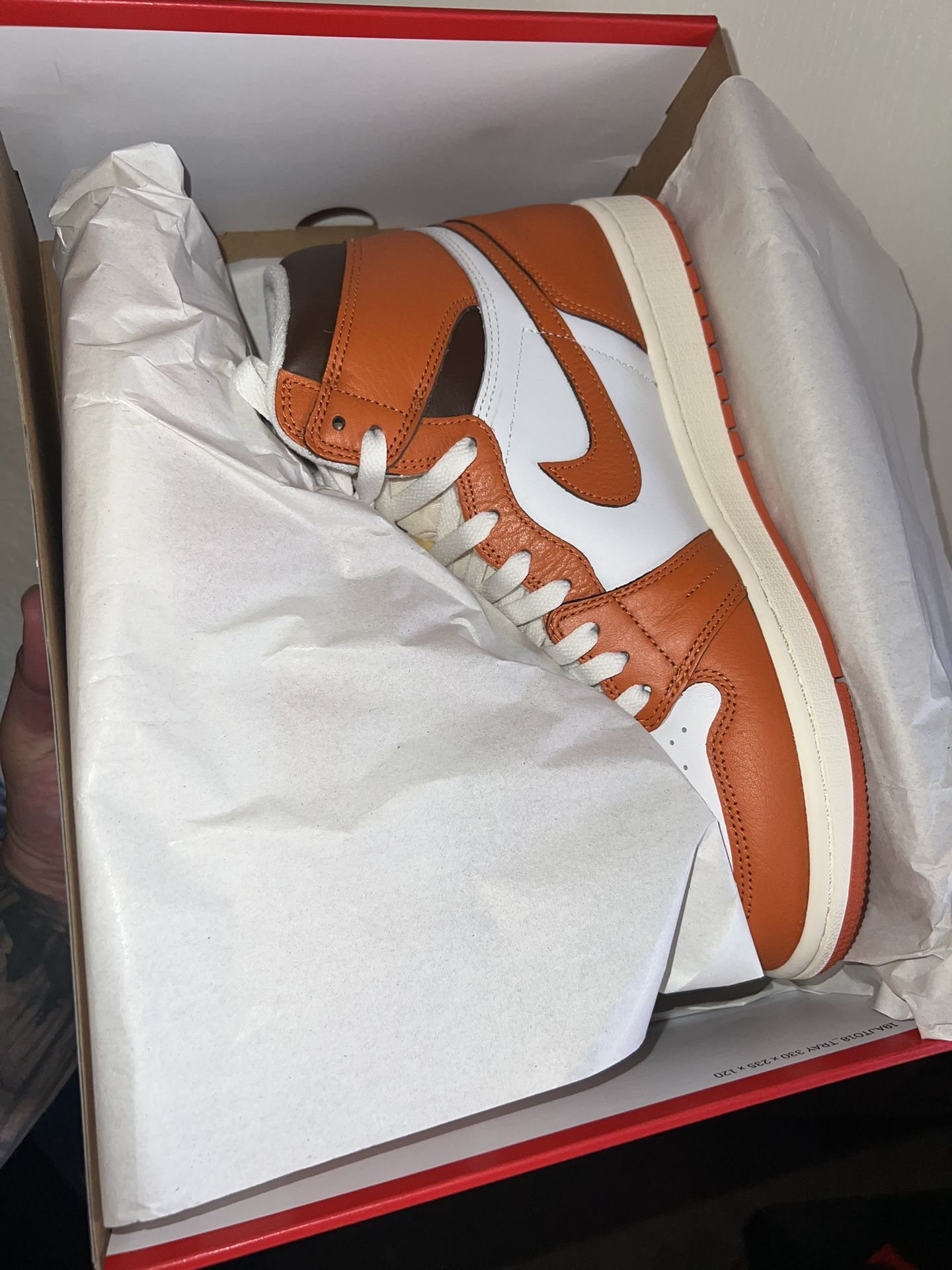 Jordan 1 Starfish