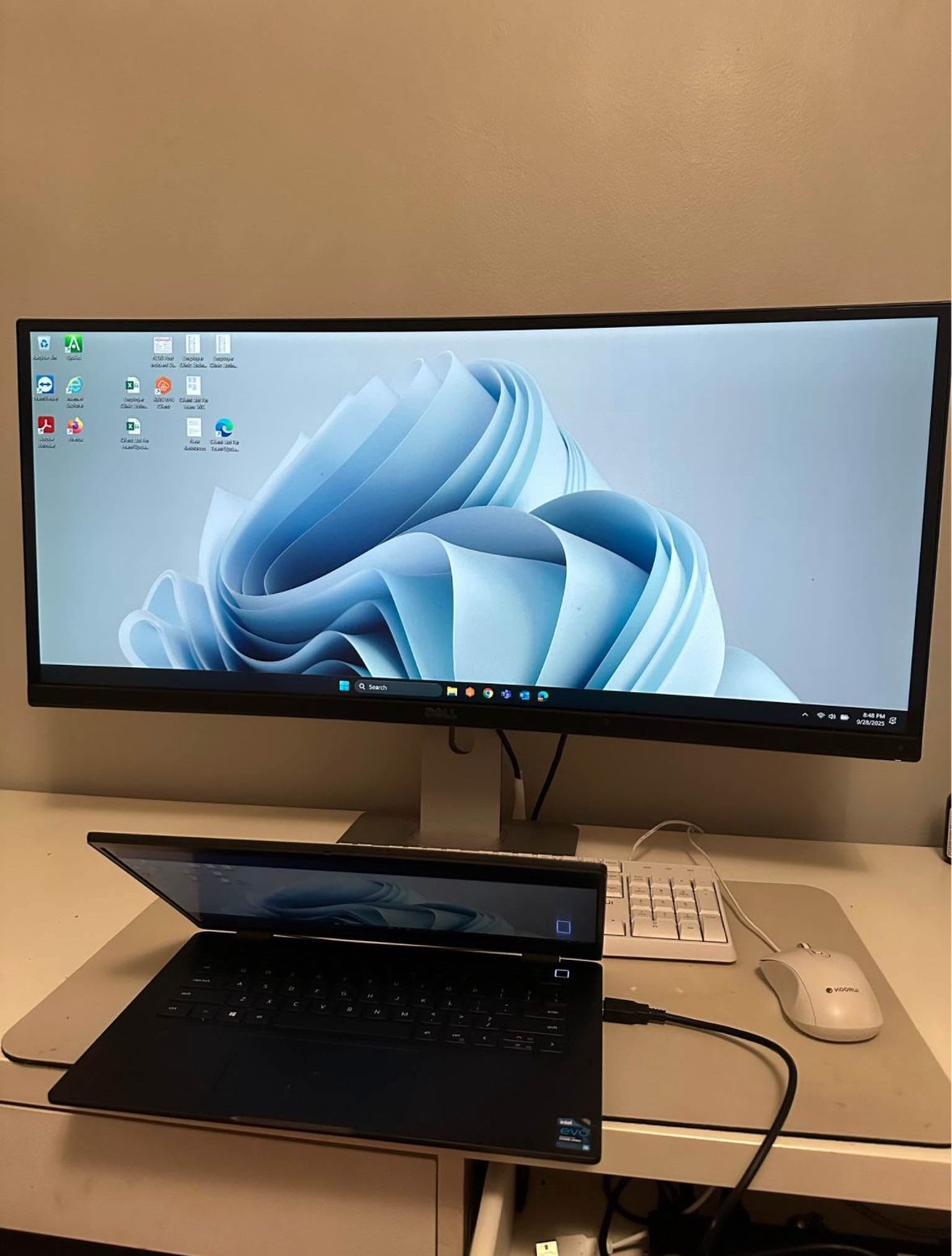 Dell Monitor 34" Curved