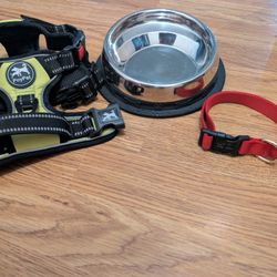 Dog Bowl And Leashes 