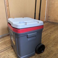 Igloo Cooler