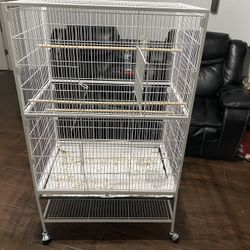 Bird Cage 
