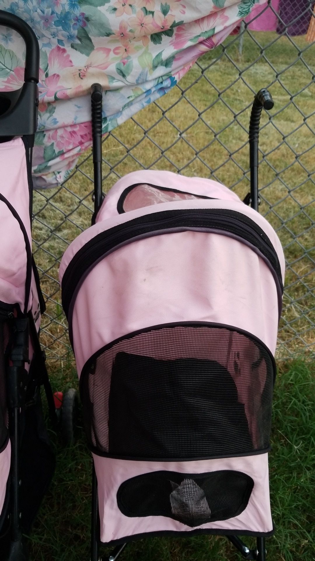 a stroller for dogs