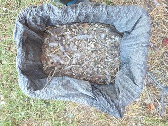 organic chicken fertilizer chicken poop🐔