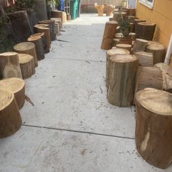 Wood Stumps 