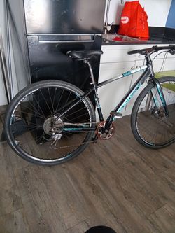 Diamondback