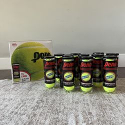 Penn Extra Duty Felt Tennis Balls
