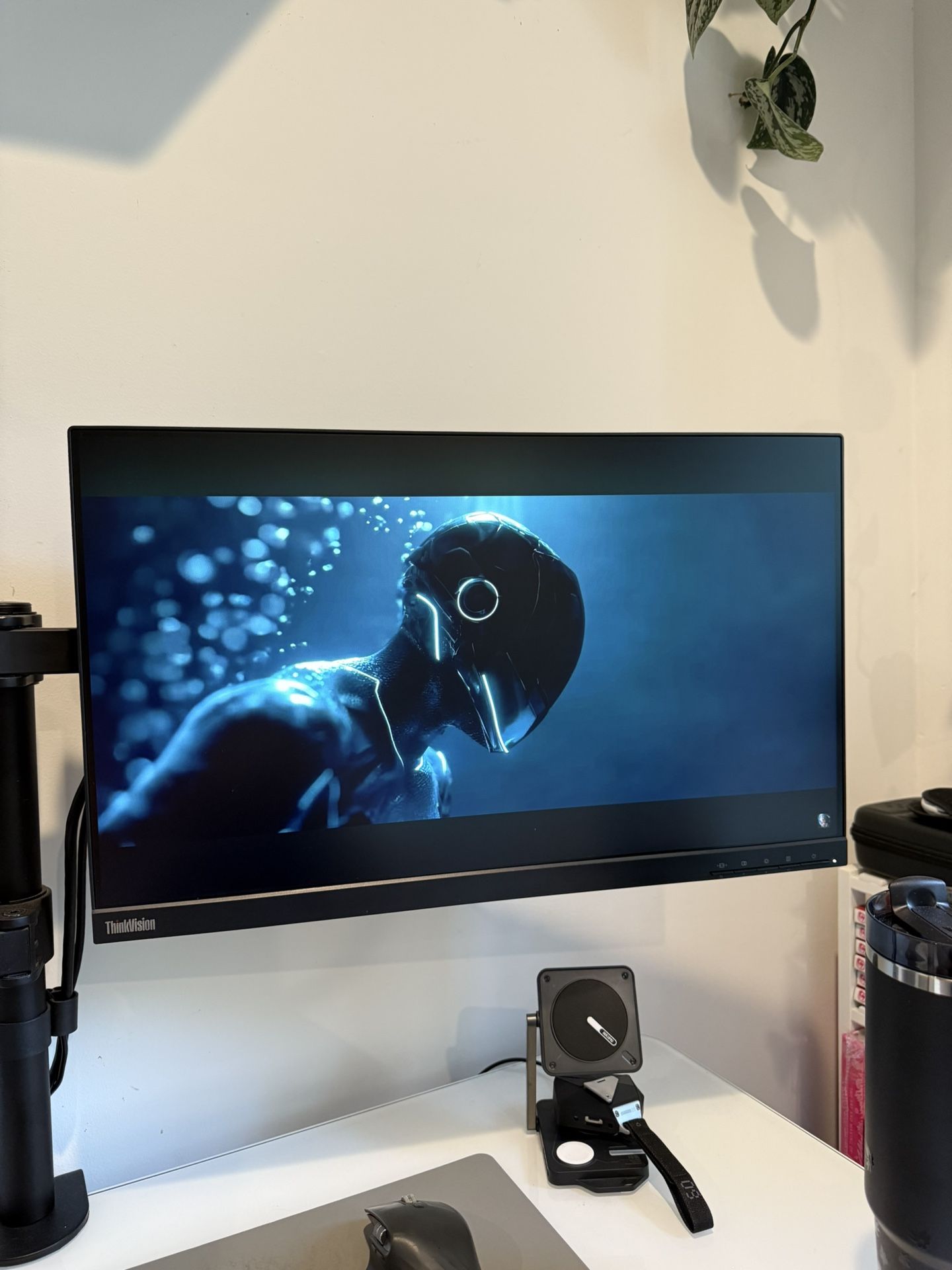 Lenovo ThinkVision Monitor