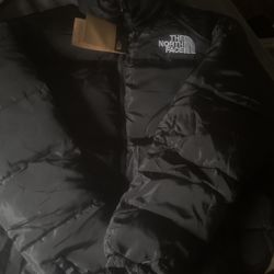r3p north face 700 puffer