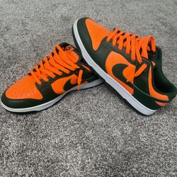 Miami Florida Gators Dunks 