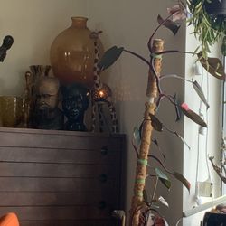 giant Pink Princess Philodendron Plant