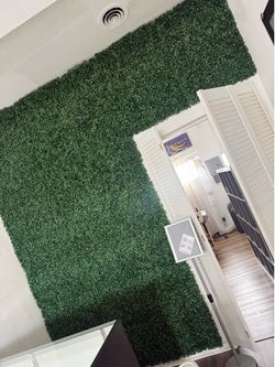 Grass for grass wall