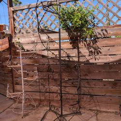 Large Spiral Plant Stand