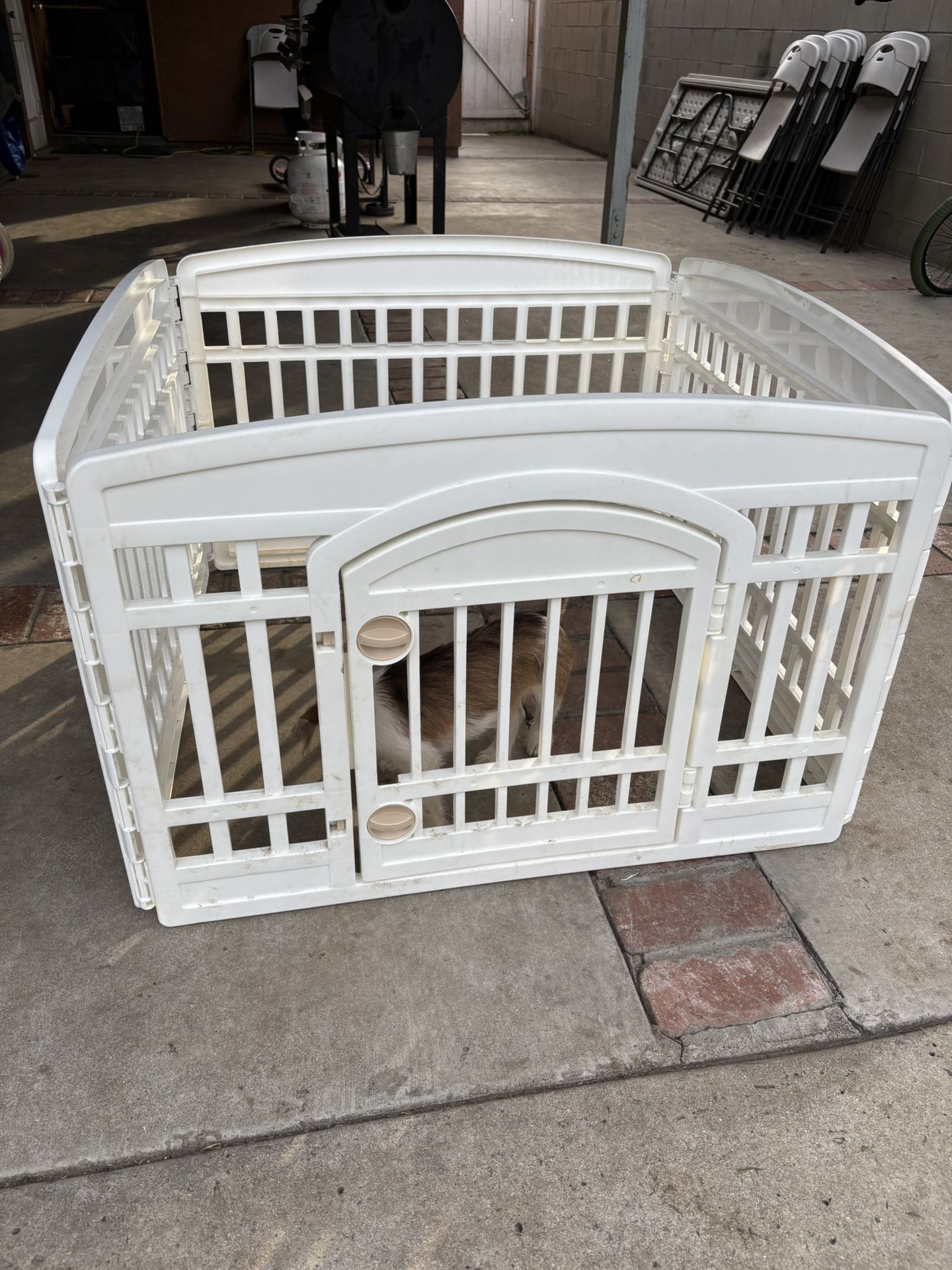 Dog Crate