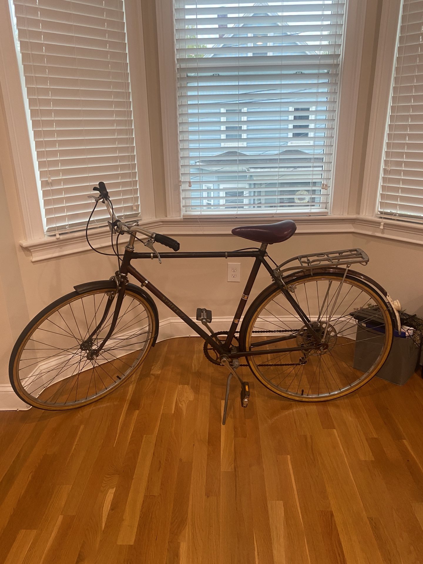 Vintage Raleigh Bike Commuter Bike